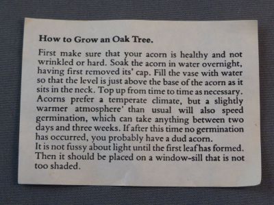Dartington FT338 acorn vase
Acorn growing instructions
Keywords: blown;british