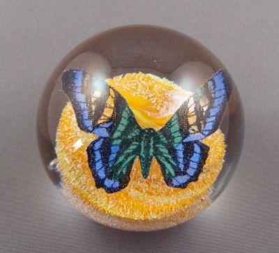 Beranek? butterfly
Fibre-glass or other heat resistant fabric butterfly
Keywords: czech;sold