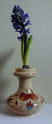 Bohemian enamelled hyacinth vase
In action January 2012. Hyacinthus 'Delft Blue'
Keywords: blown;enamelgilt
