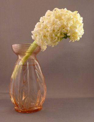 French hyacinth vase, pink
Hyacinthus 'City of Haarlem' Strange bent flower head
Keywords: blown;frenchdutchbelg;vase;sold